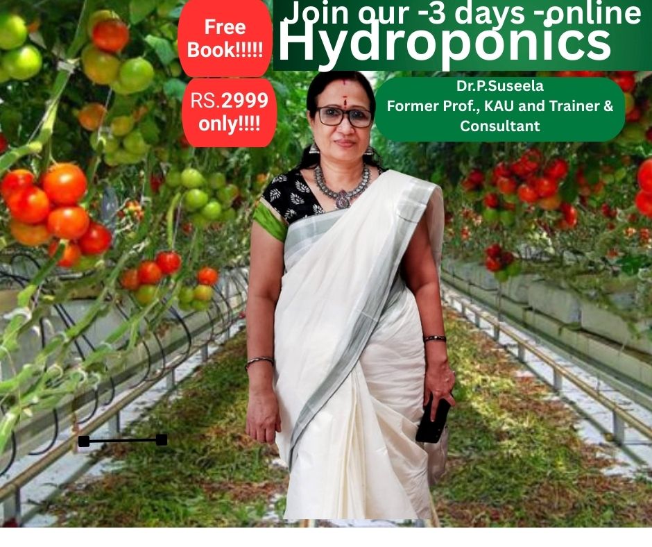 Dr P Suseela