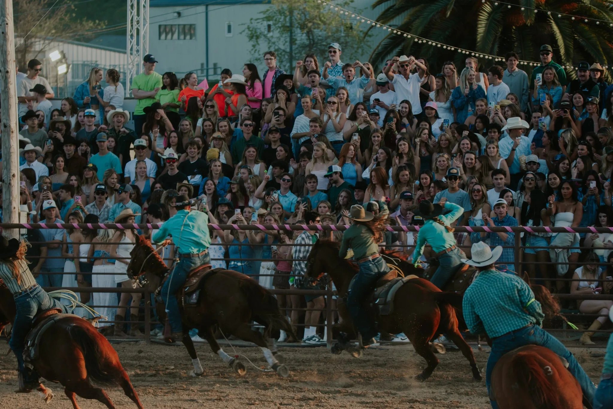 Poly Royal Rodeo