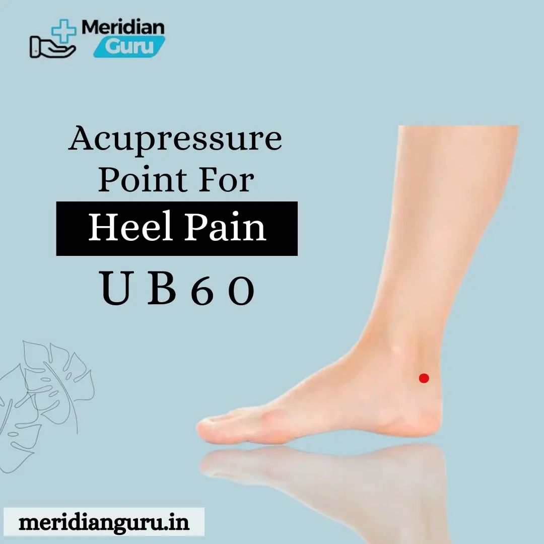 Meridian Guru - UB60 acupressure point is located behind...