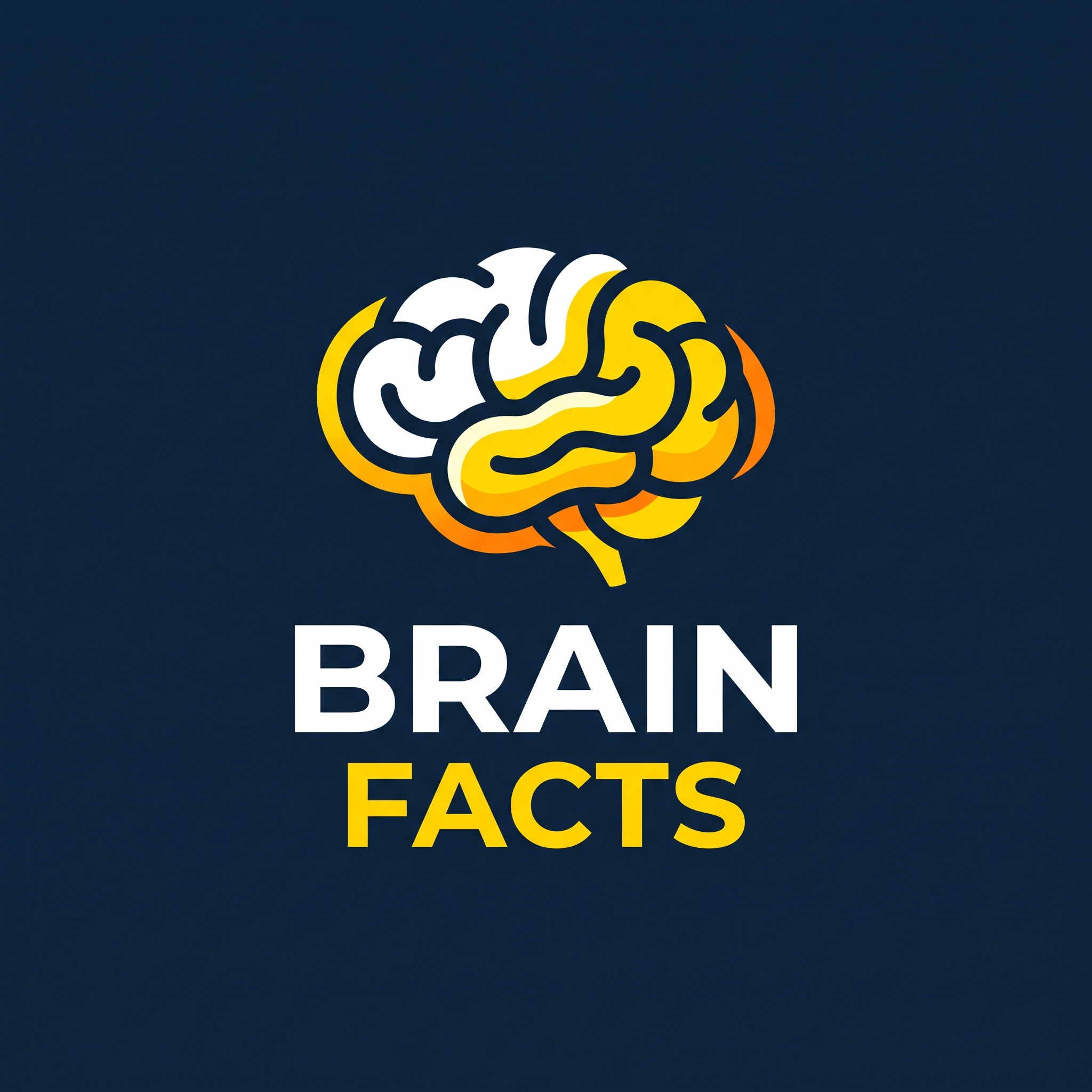 Unexpected insights in seconds. 🧠 #DailyFacts #EducationalReels | Brain ...