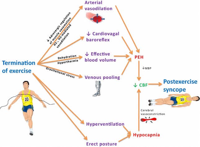 หน้ามืดหลังหยุดวิ่งทันทีเกิดจากอ... - Nakorn - Core Physiology