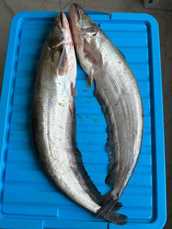 Sylhet Seafood Market | Sylhet