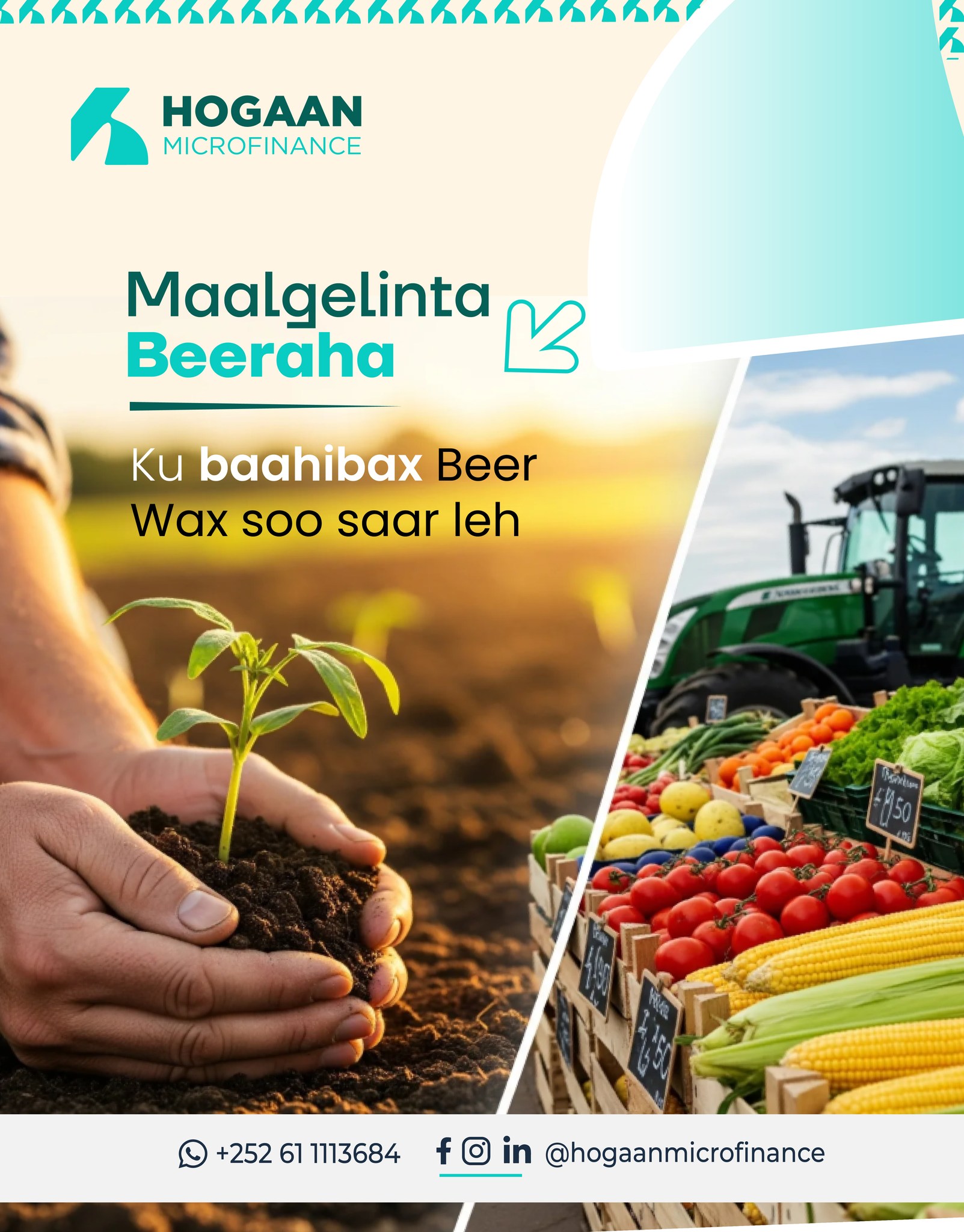 Hogaan - Hogaan Microfinance waxay maalgelisaa beeraleyda iyo ...