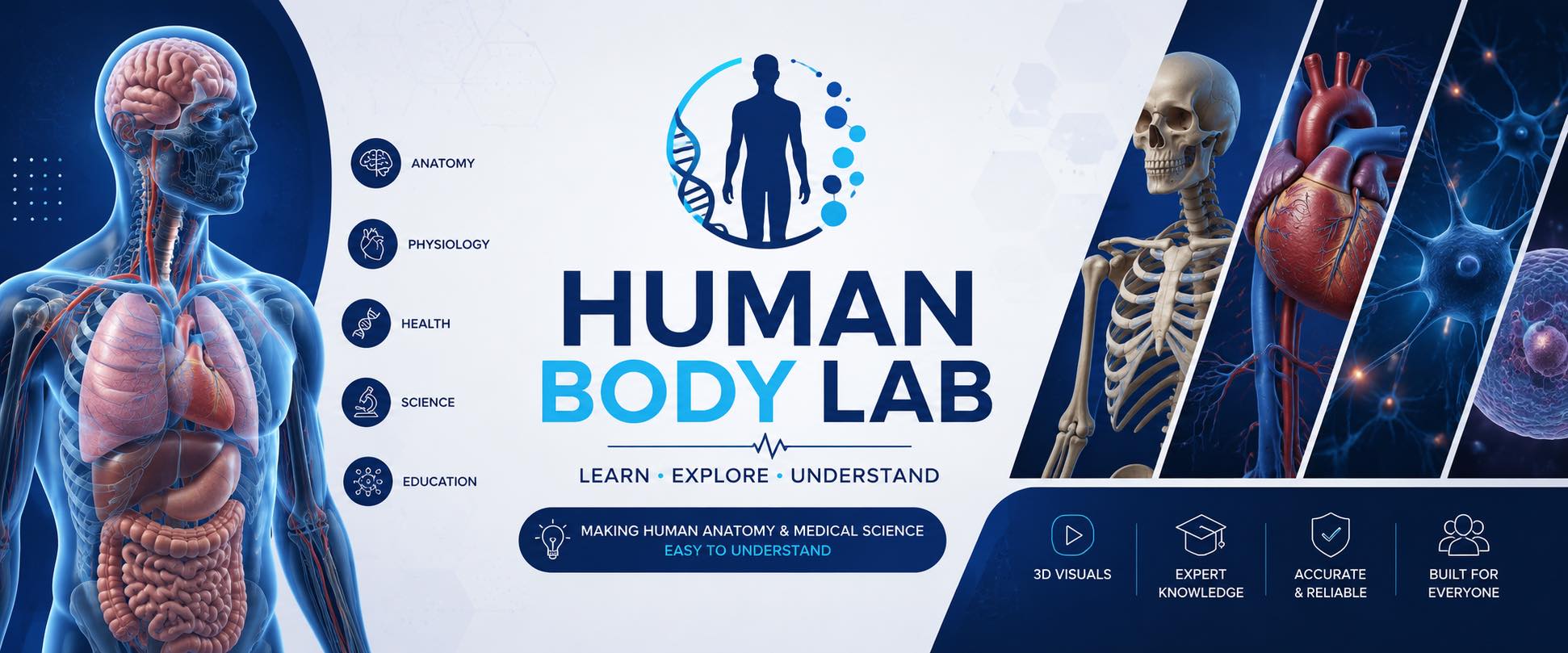 Human Body Lab