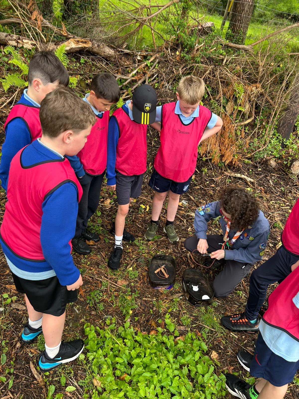 bantry-scouts