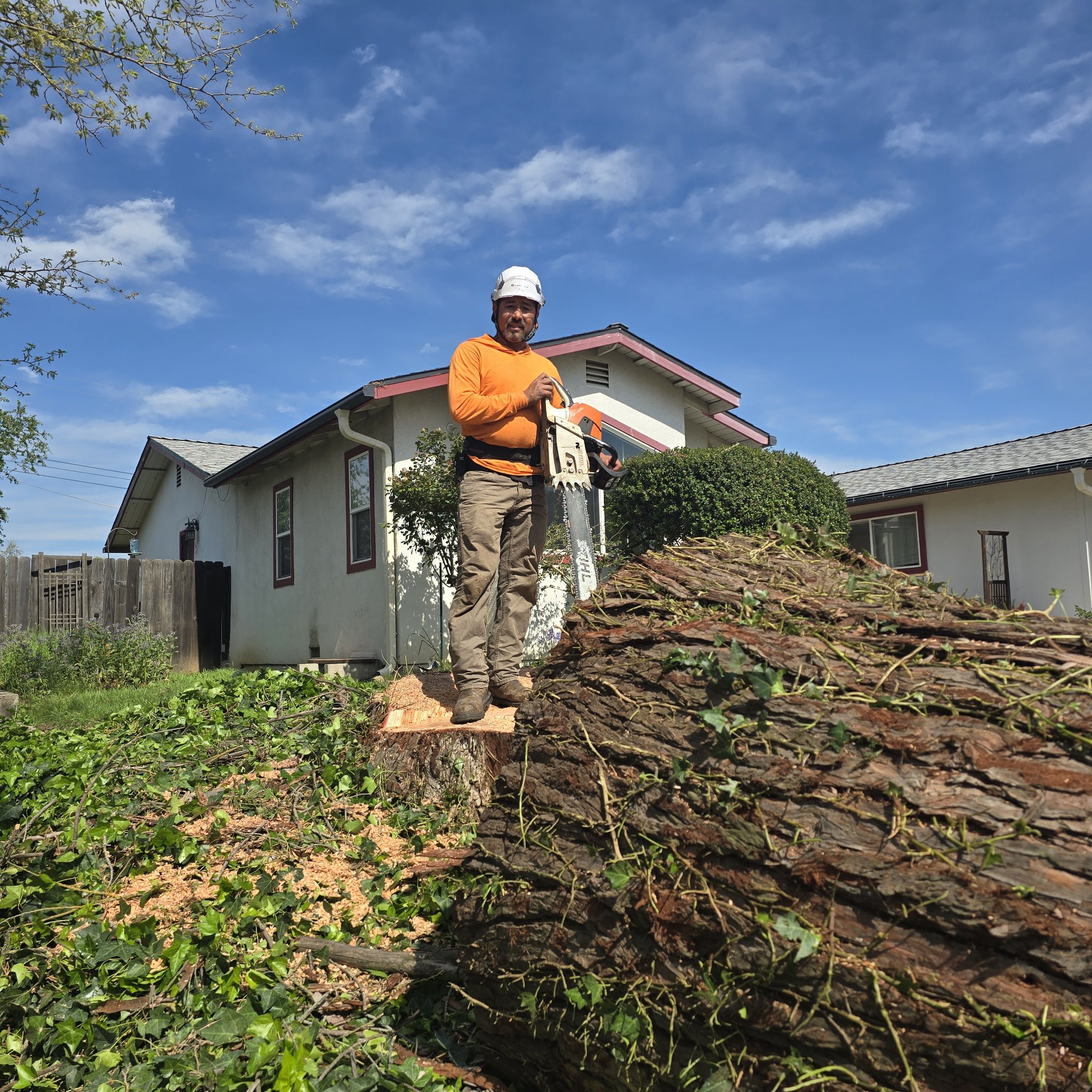 ERICK TREE Services | Rio Linda CA