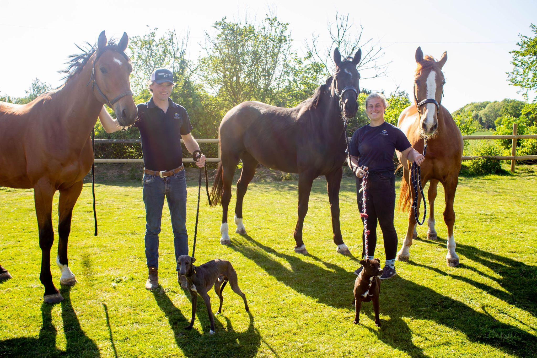Flower View Stables | Colchester