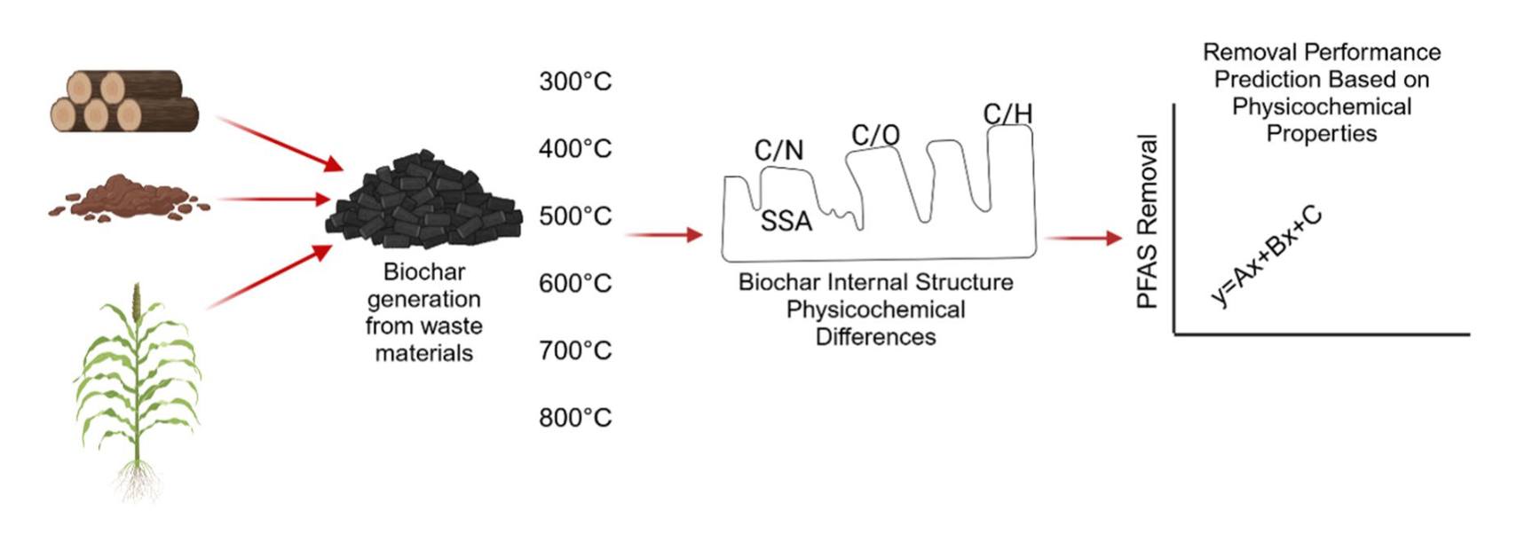 Biochar - Stop PFAS in Your Water: Science Finds a Cheap, Green ...