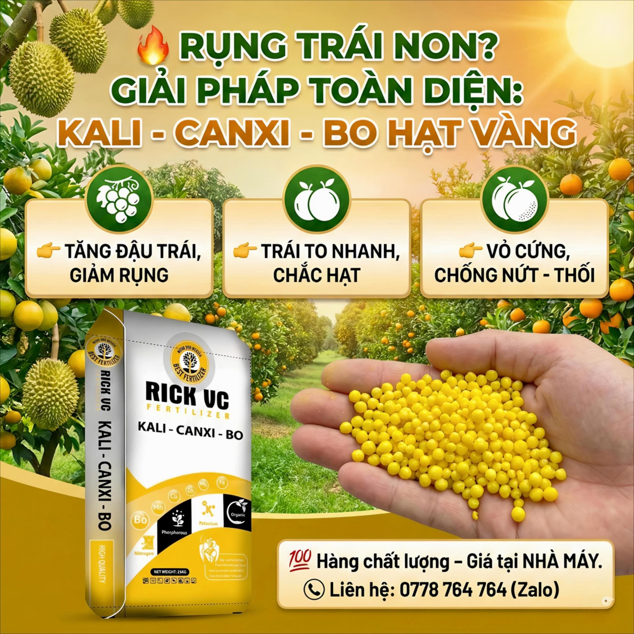 🔥 RỤNG TRÁI NON QUÁ NHIỀU?... - Phân bón RICK- Xuất nhập khẩu | Facebook