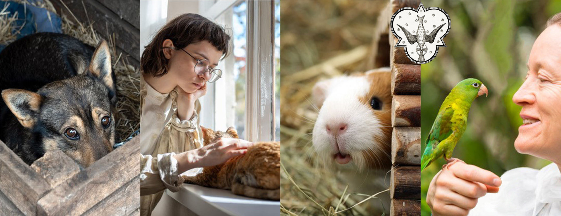 Animals Chat with Lilli