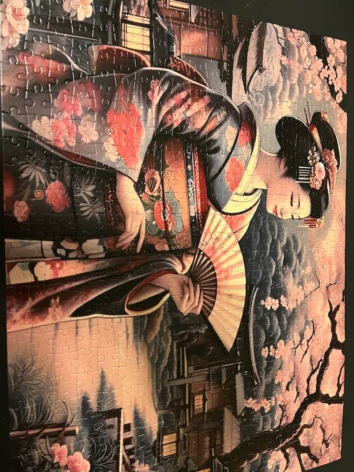 Easy one 500 piece TEMU