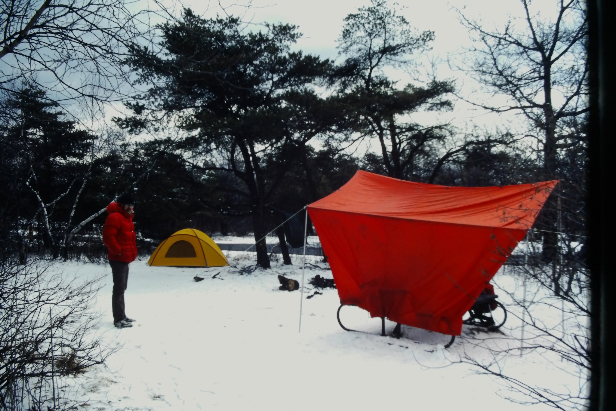 Anyone out there know where to find a Moss Tent Works Parawing?