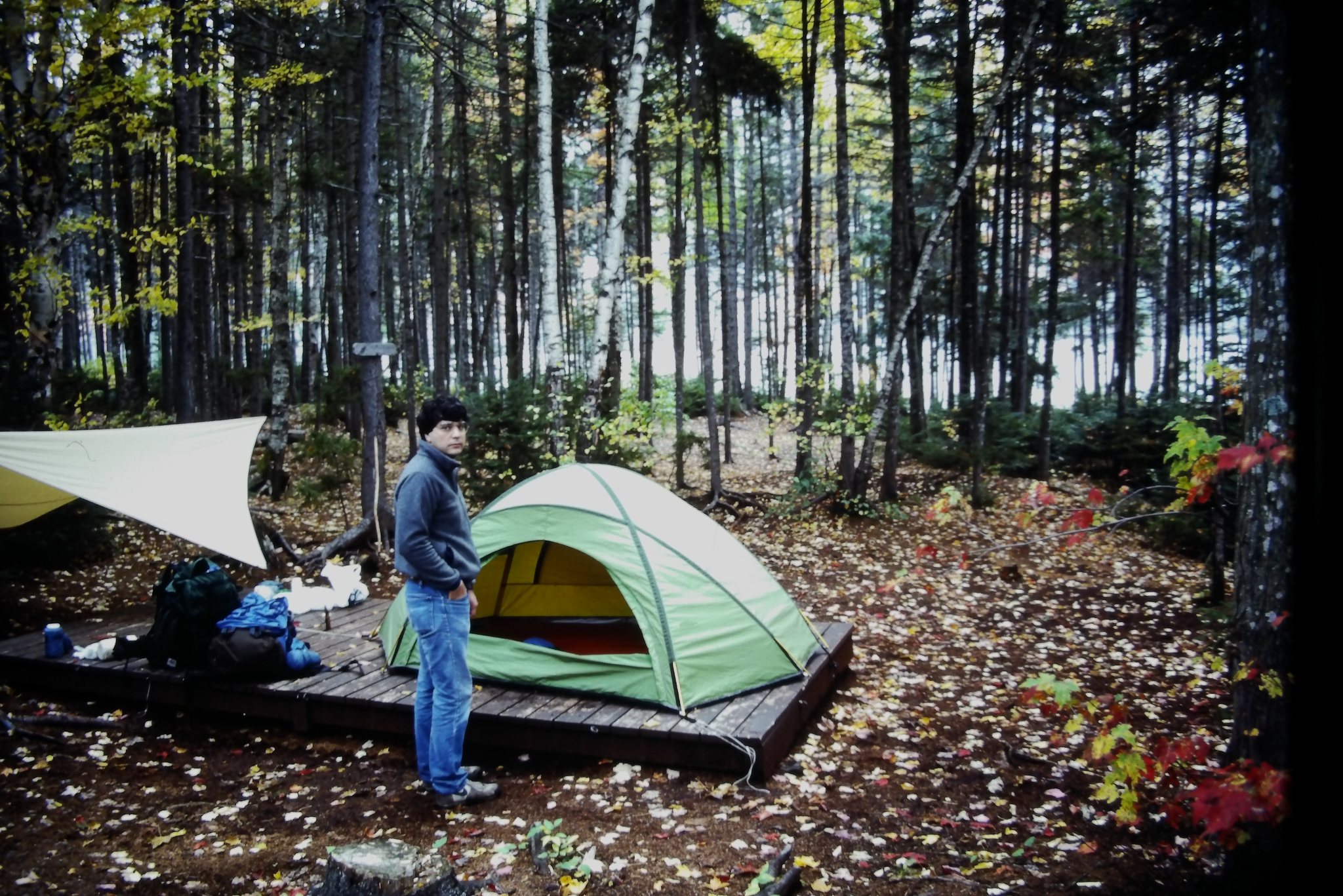 Anyone out there know where to find a Moss Tent Works Parawing?