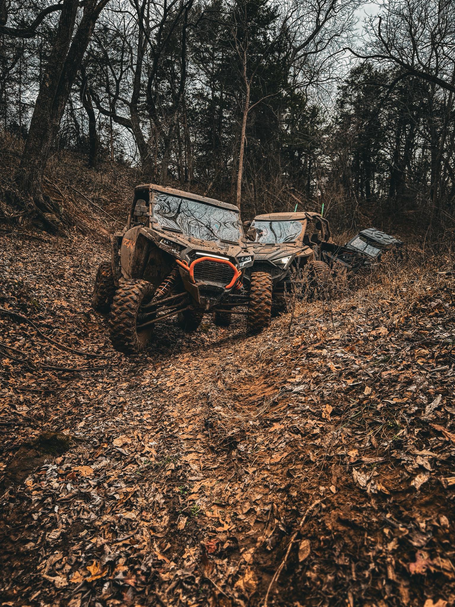 Wildcat - Roses are red, mud is brown…a day spent wheelin’ beats a ...