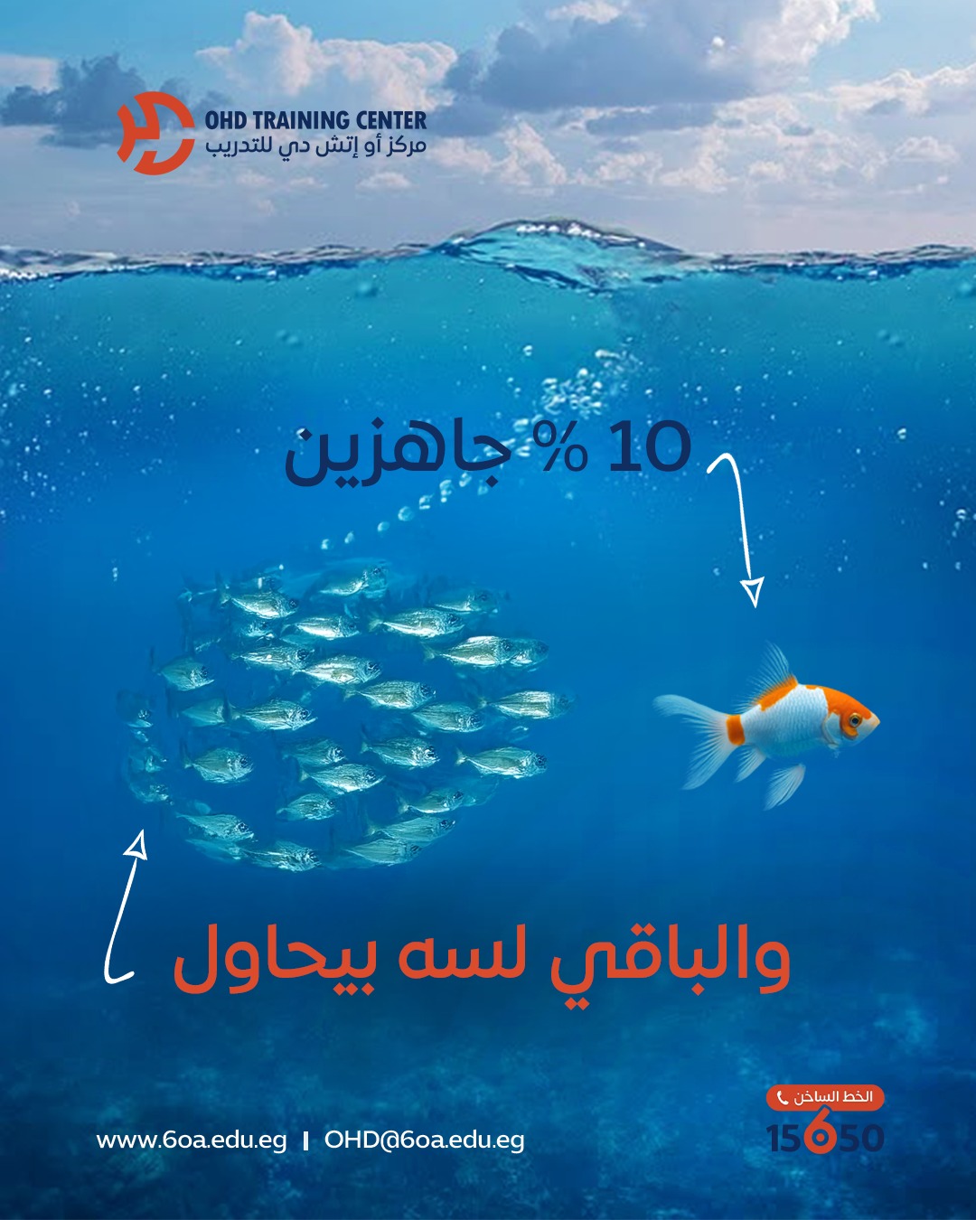 OHD Training Center | Cairo