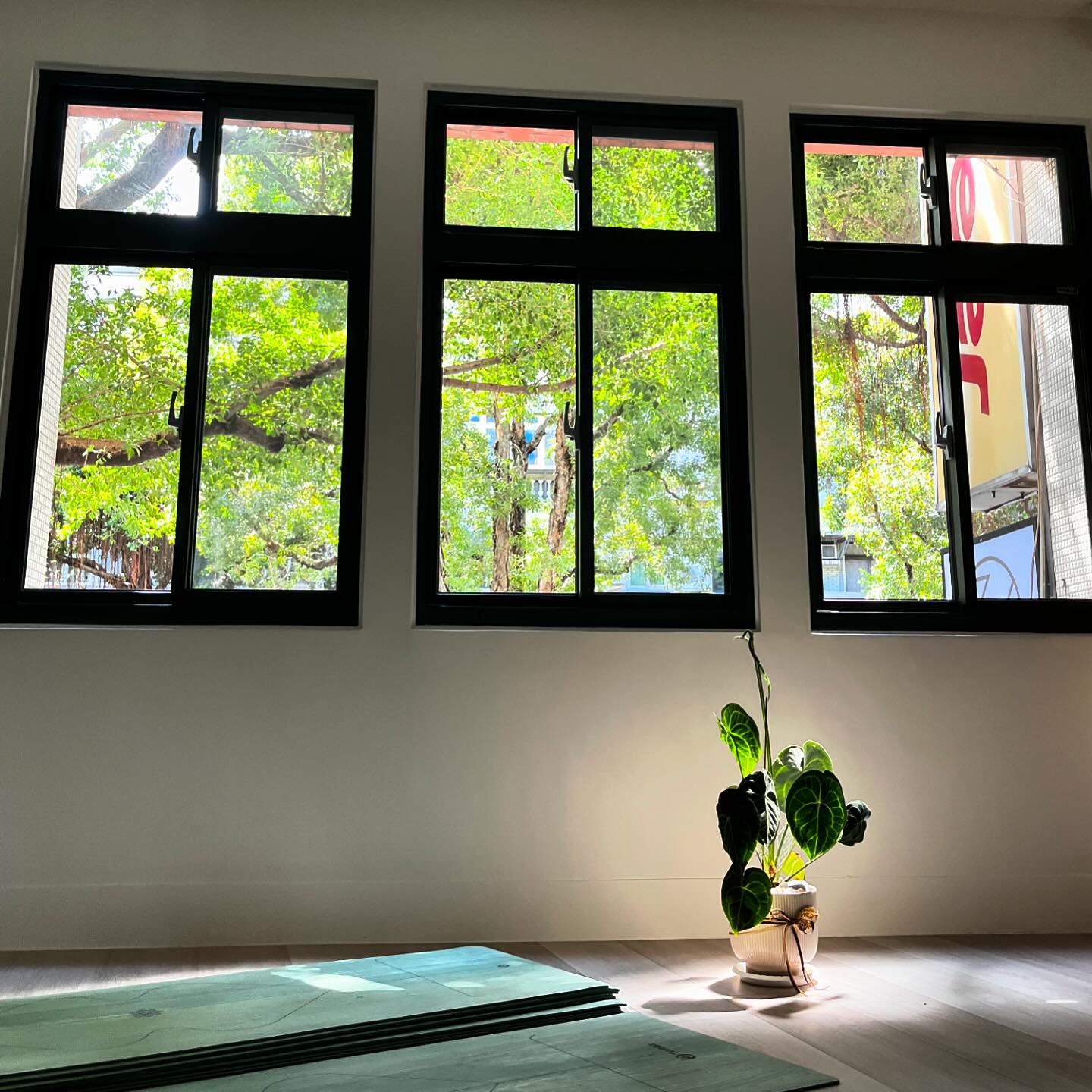 Zen - 沈寂已久，發一張午間陽光曬進教室的植物照刷刷存在感 ～ 最近，教室老闆Zen除了教課以外的時間，不務正業，鮮少發文。因為水和陽光是 ...
