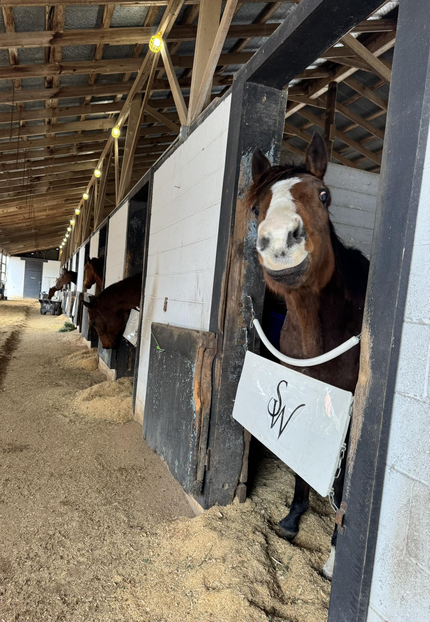 Amity and Albright Equestrian Center | Hot Springs AR