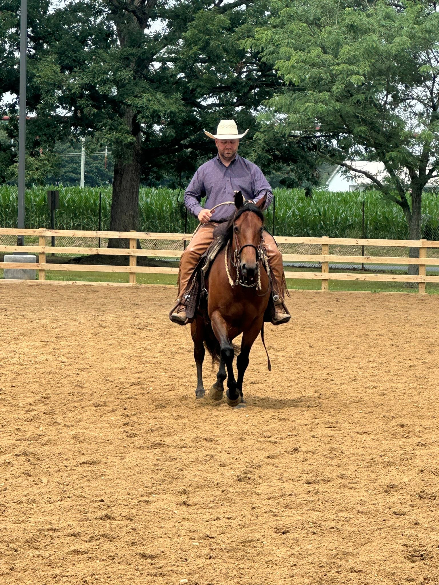 DelMar Ranch Riders added a new photo. - DelMar Ranch Riders