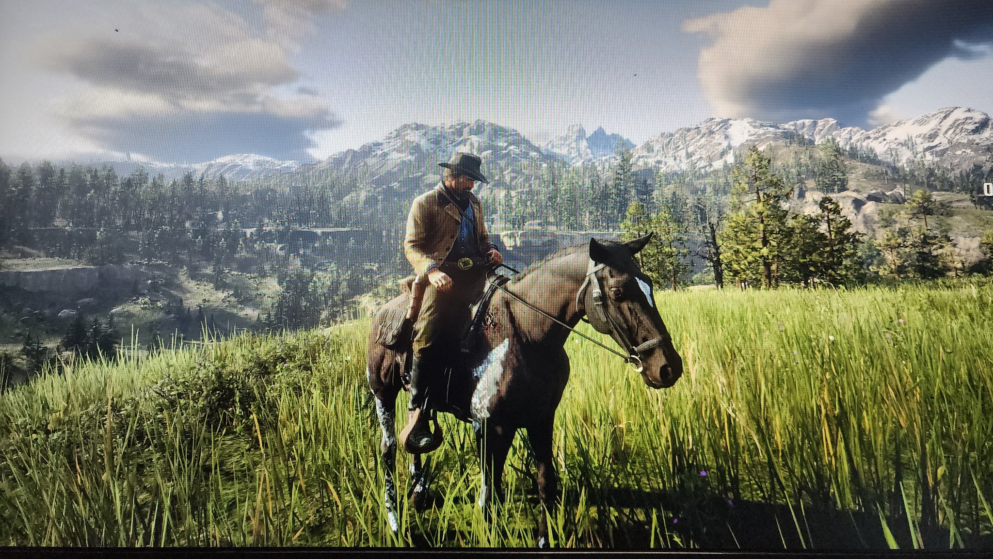 I'm 53 and this is the first PC game I've ever played. It has