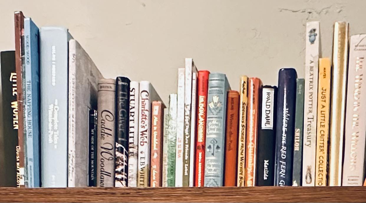 The Rabbit Hole Book & Toy Co. | Ripon WI