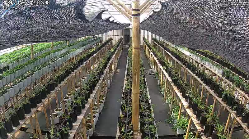 Asia Grobal Farm | Jawa