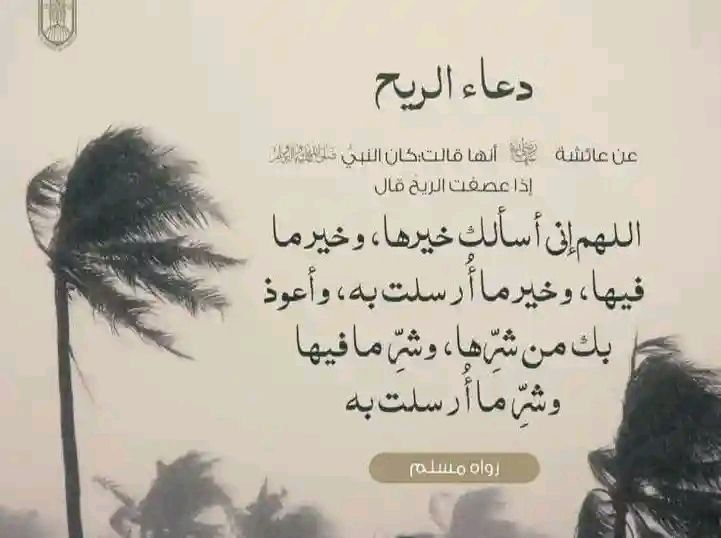 Amjd Bkhouch