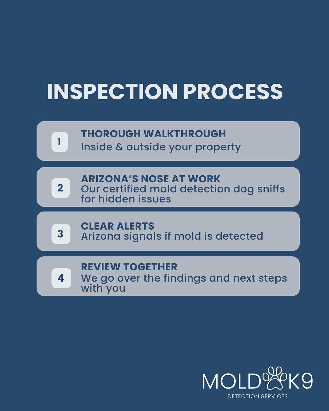 Mold - 🔍 Our inspection process is thorough, accurate, and backed by ...
