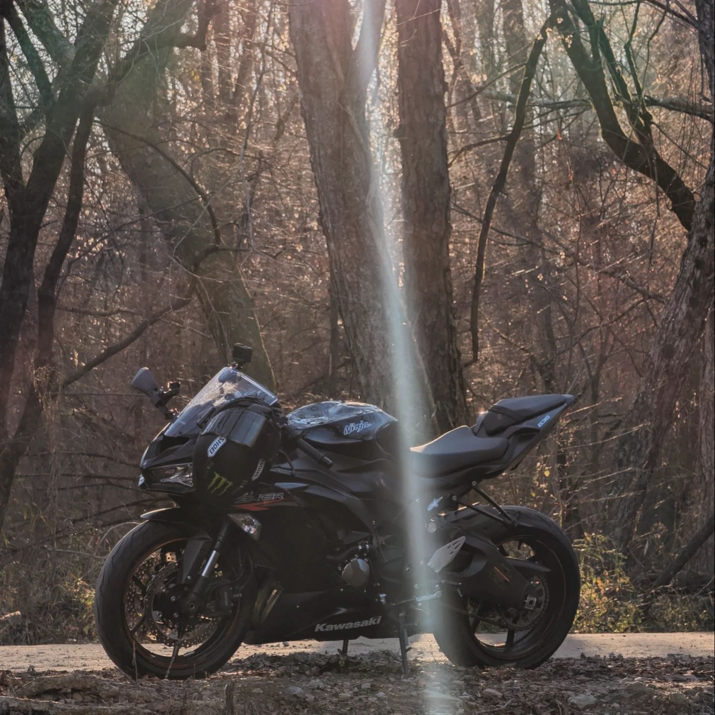 Zakzx6