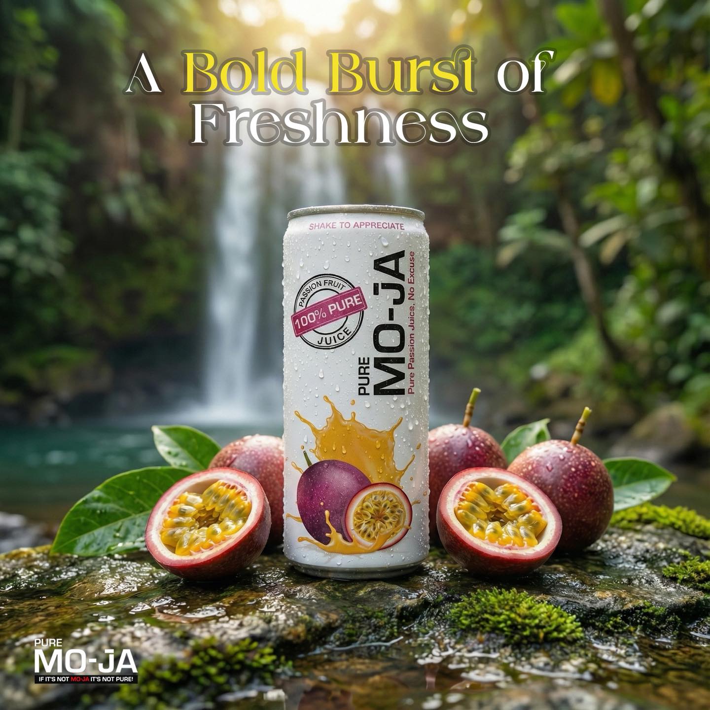 Pure Mo-ja