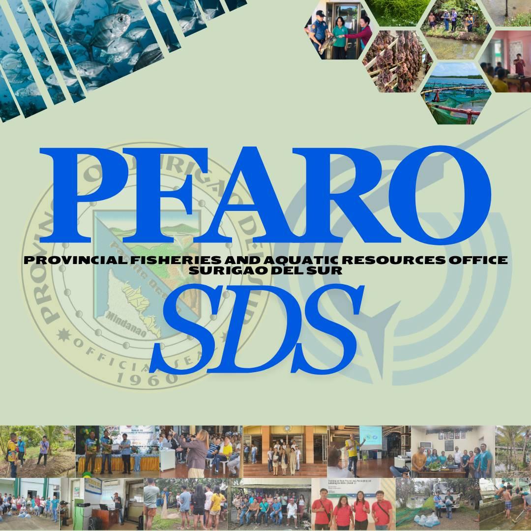 Provincial Fisheries and Aquatic Resources Office-PLGU Surigao del Sur