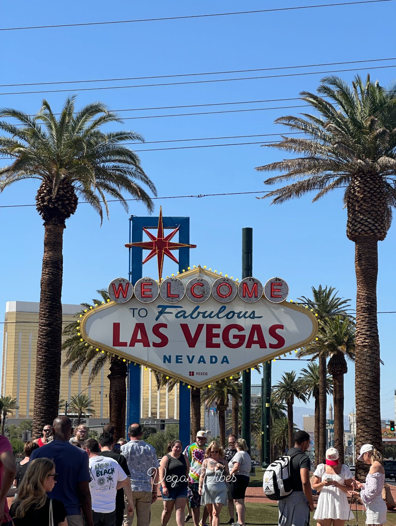 Welcome to Sultry Sin City Las Vegas Light-Up Sign. 13 inches high