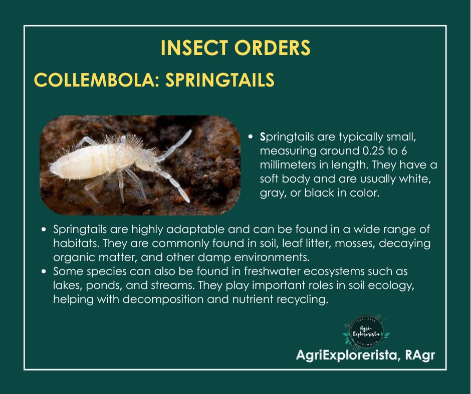 AgriExplorerista,RAgr added a new... - AgriExplorerista,RAgr