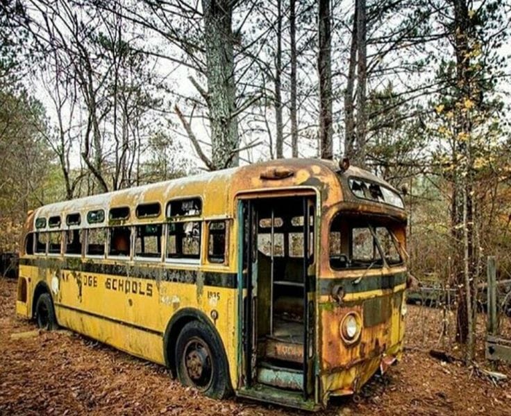 Brilliant - rusted school bus in the woods | Facebook