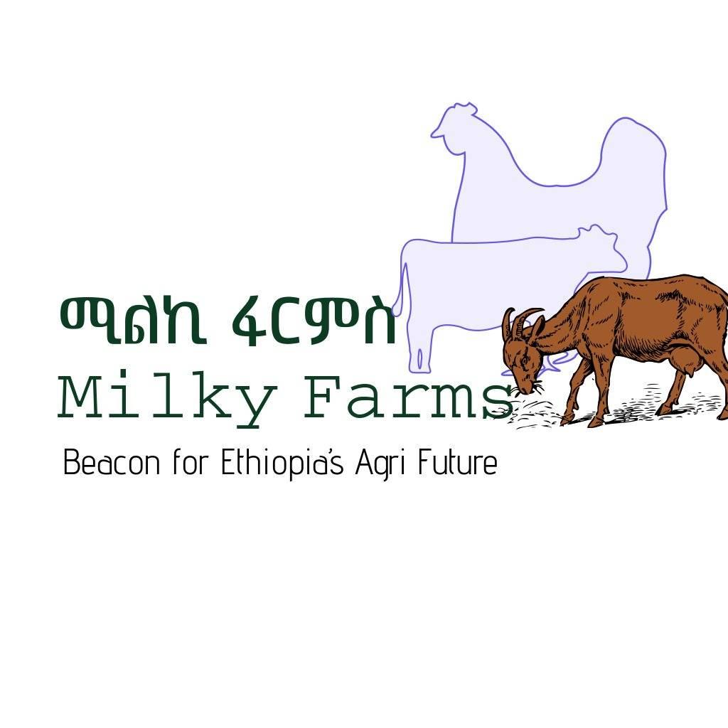 Milky - 📚🐄 በዘመናዊ የወተት ከብት እርባታ ፍላጎት ላላችሁ ስልጠና አዘጋጅተናል በስልጠናው ላይ: 🐄 በረት ...