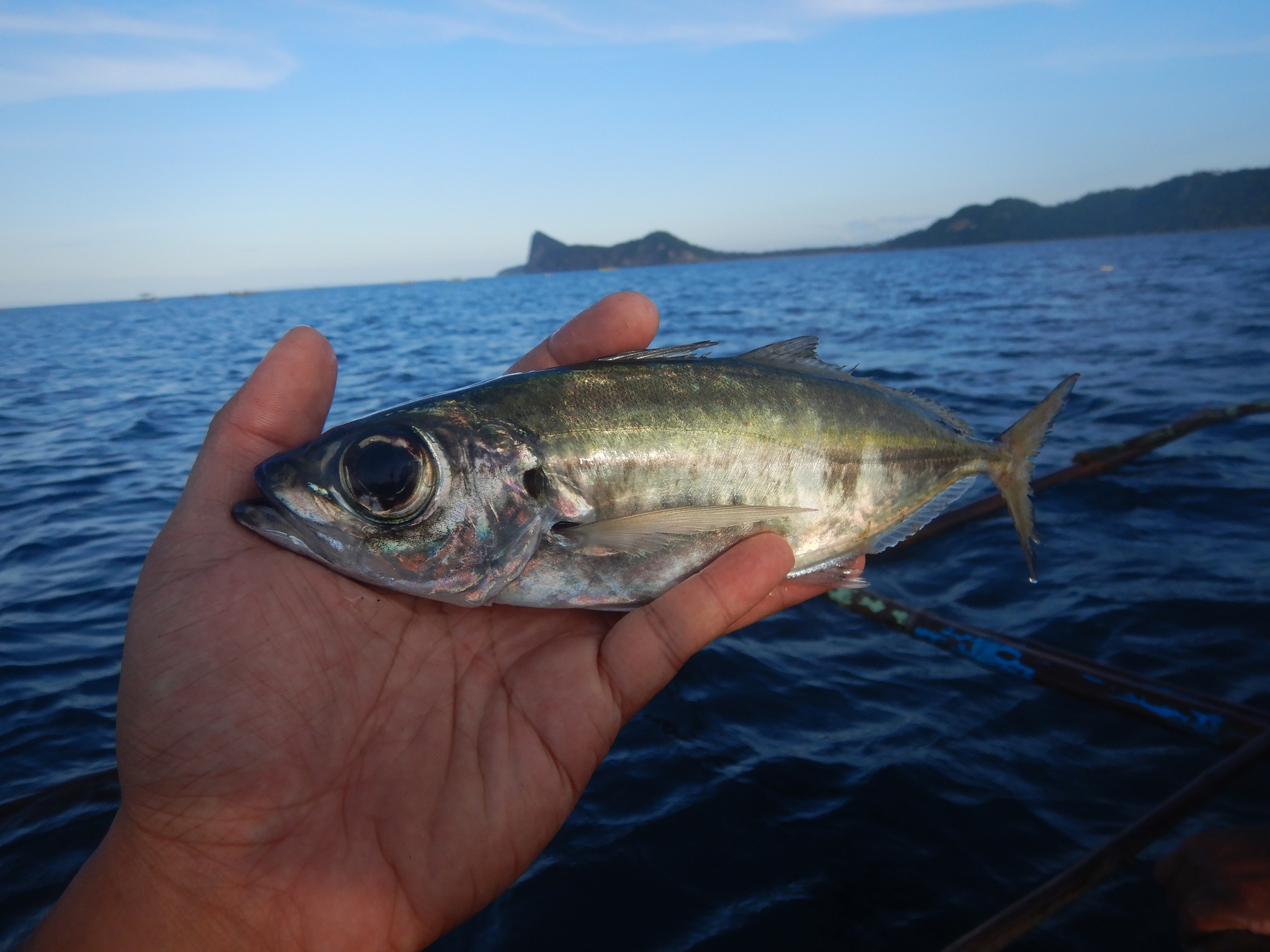 Libmanan MAO Fisheries Section