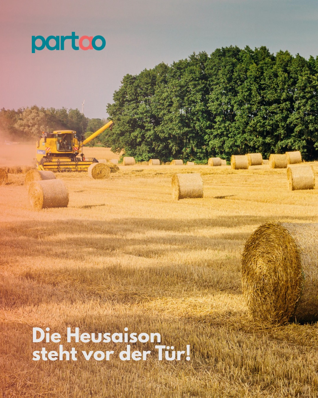 Partao Deutschland