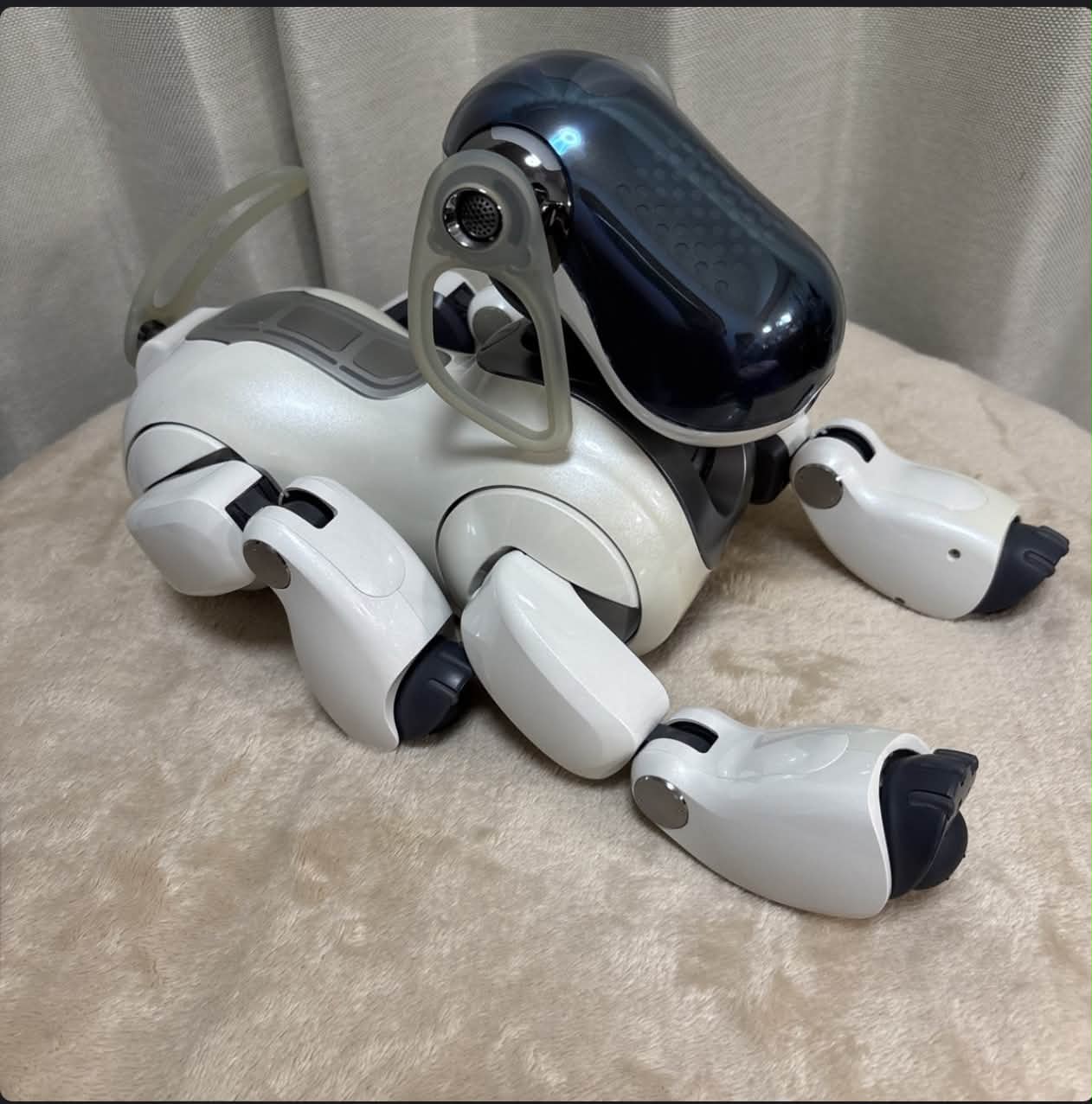 I saw this replica robot of the AIBO ERS-7 at a store. This just