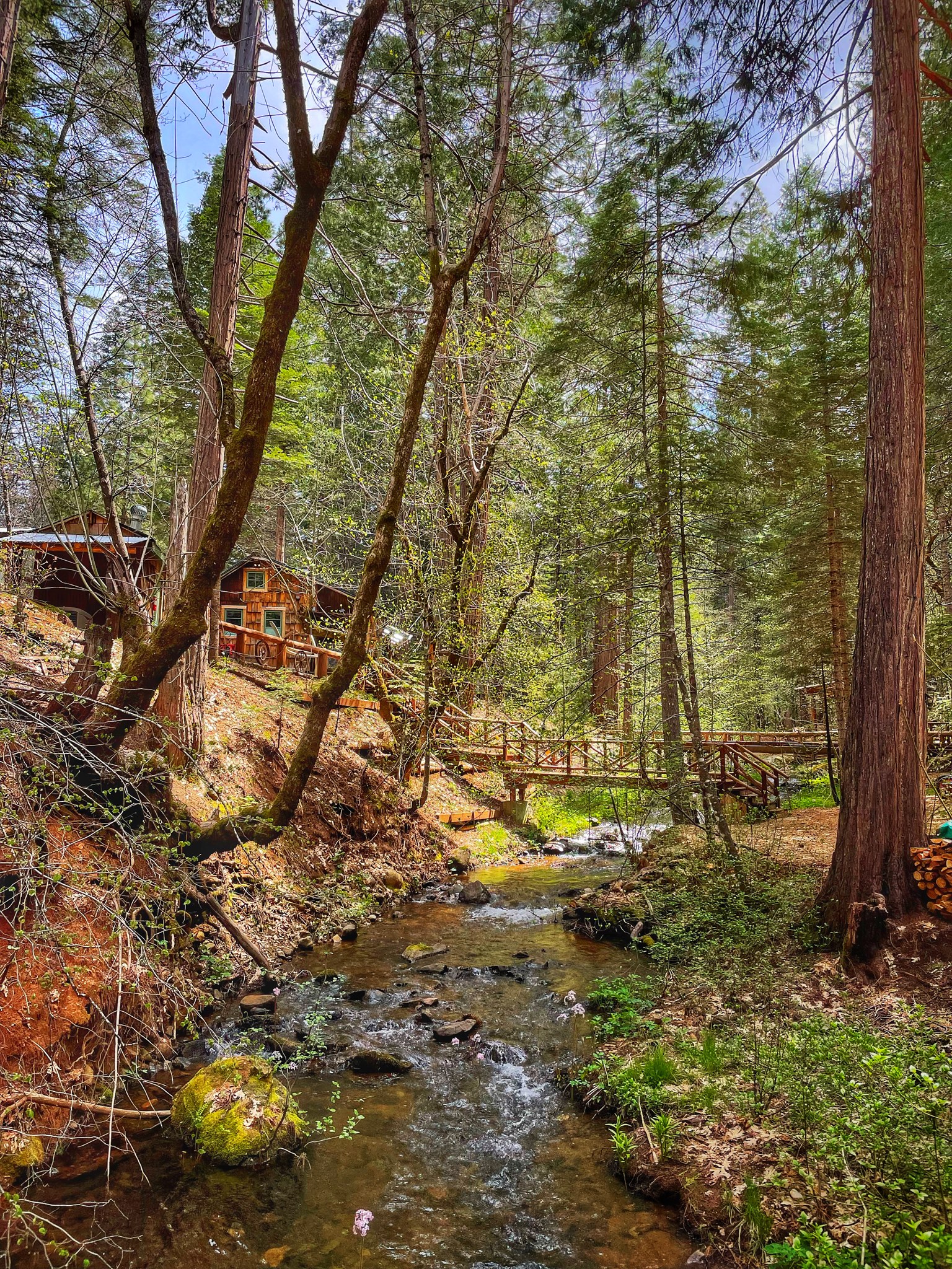 Love Creek Retreat | Avery CA