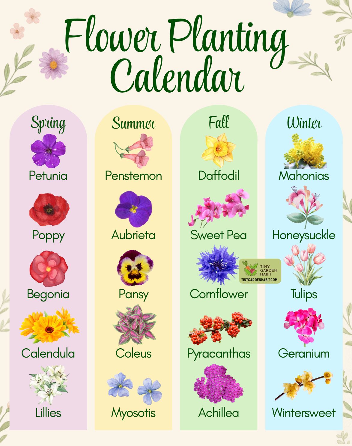Wondering what flowers to plant each season? This helps a lot 🌸