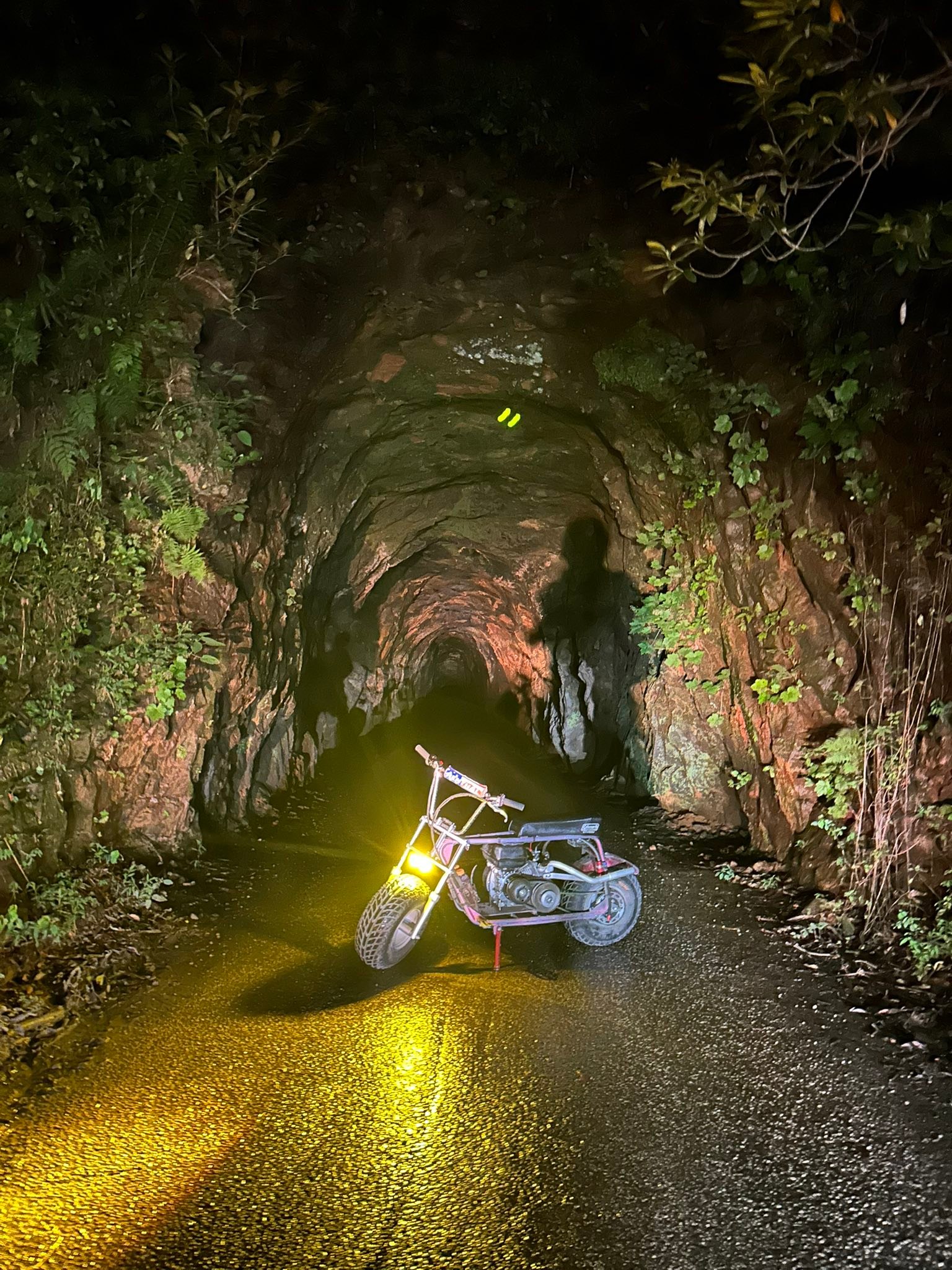 Bluegrass Tri-State Minis | Time for Fridays weekly mini bike posts ...