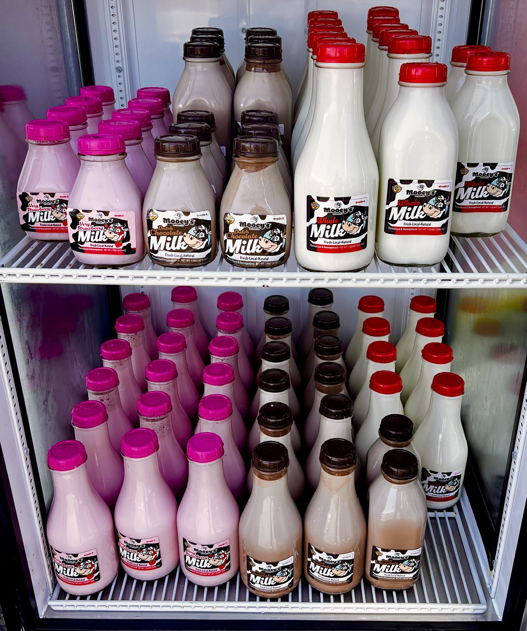 New milk flavors and products at Rockview Dairy #29