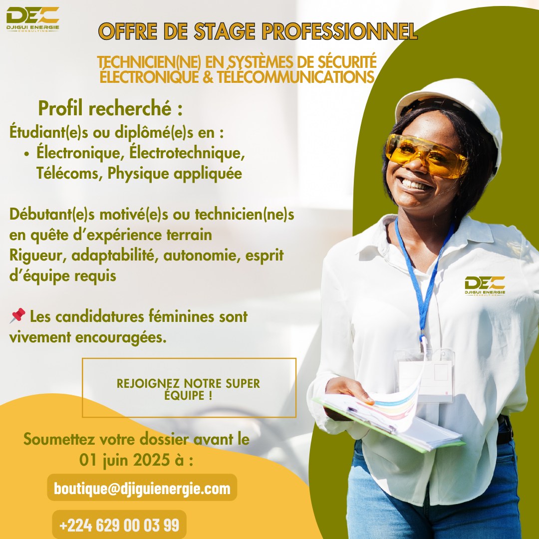 djigui-energie-consulting-dec-conakry