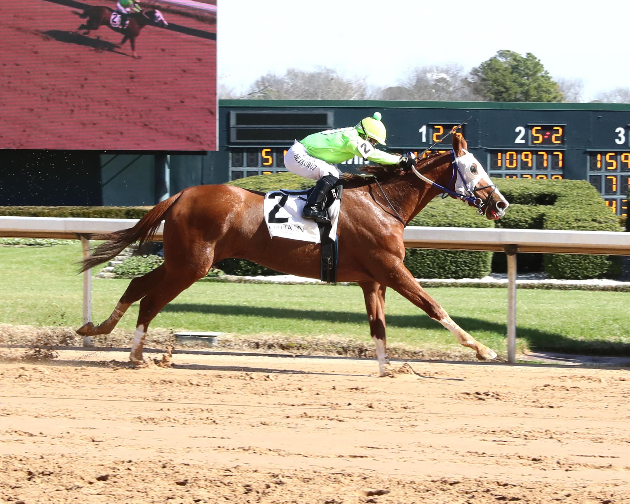 Amity and Albright Equestrian Center | Hot Springs AR