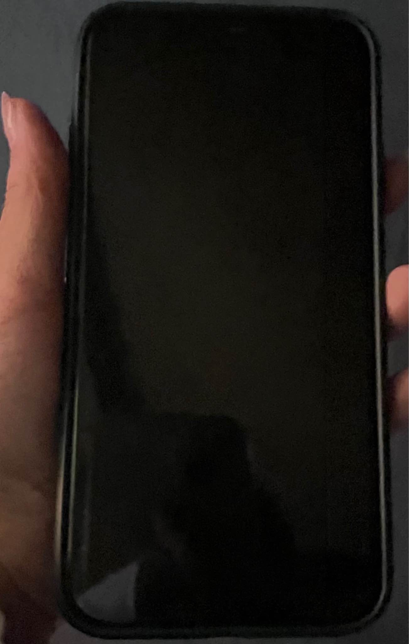 iPhone XS 256g Face ID working Turned working Battery health 100