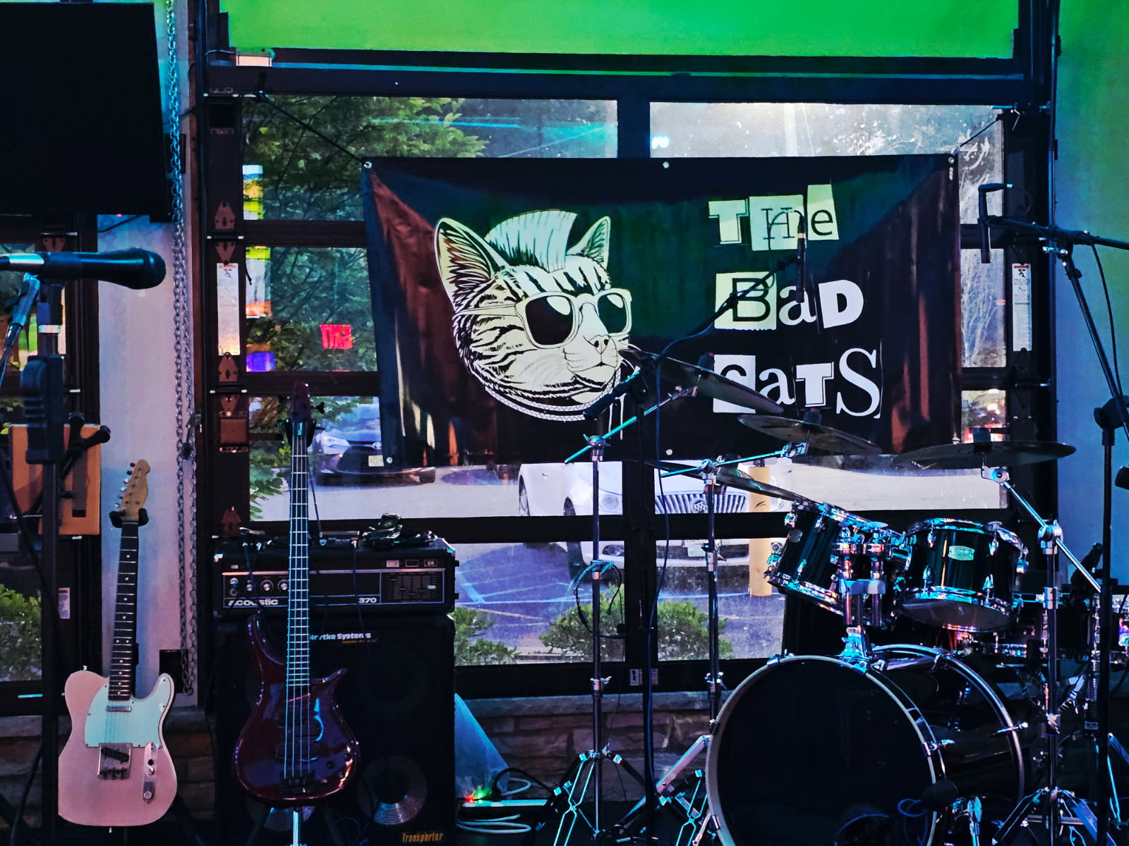 Bad Cats Band
