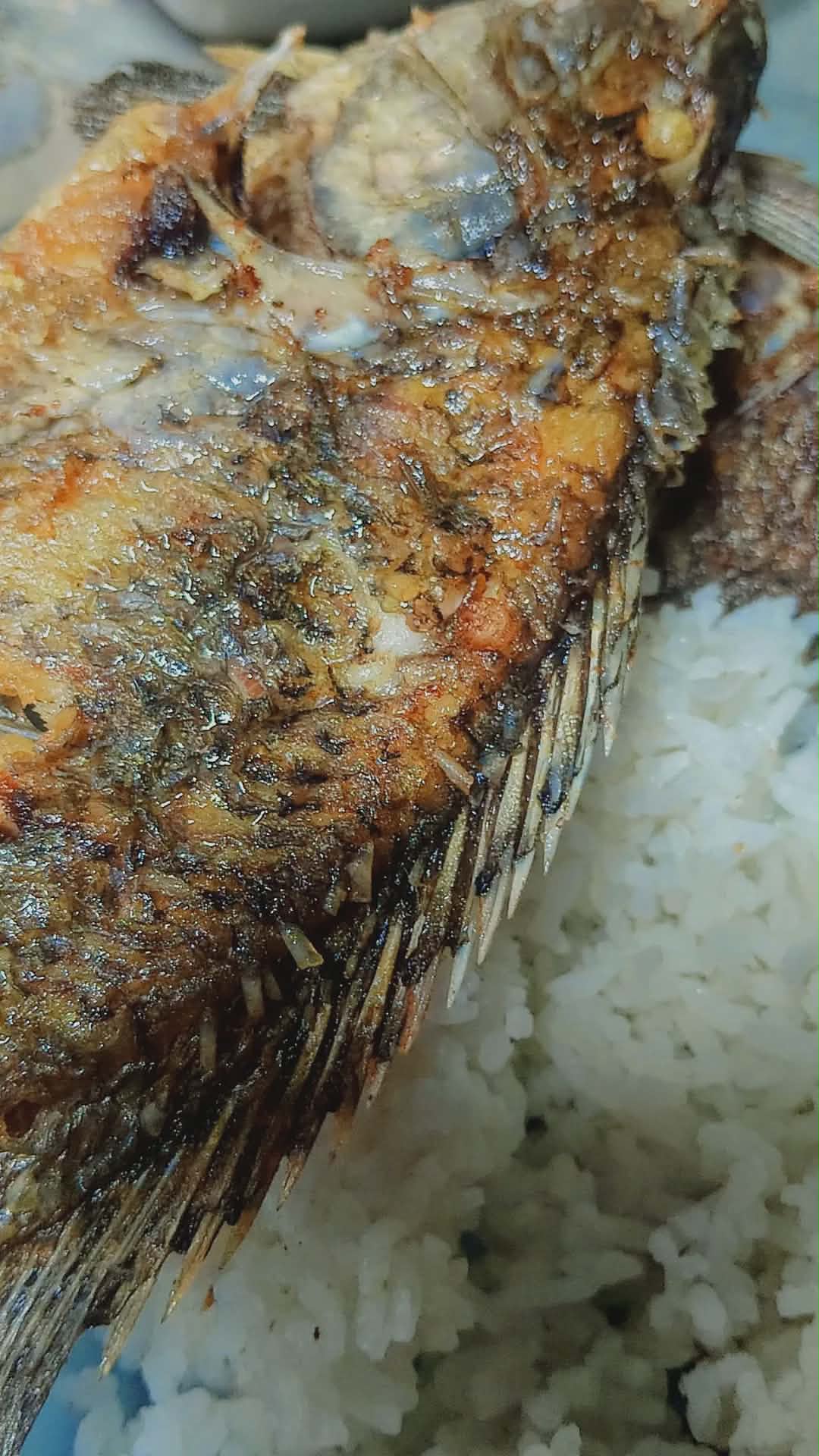 Kri - Tilapia met a KaNewsTrend dakayo lang? 🤣🤣🤣🤣🤣 Naglunch kay metlang ...