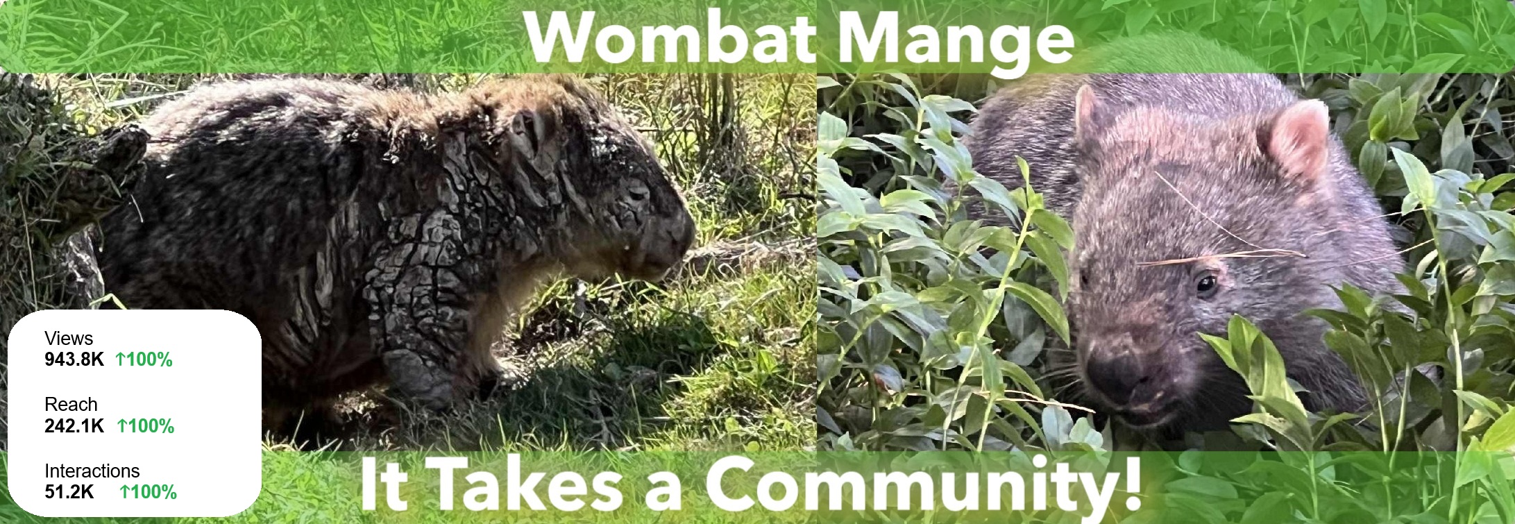 Protect - Let’s Talk About Mange. Mange is caused by a parasitic mite ...