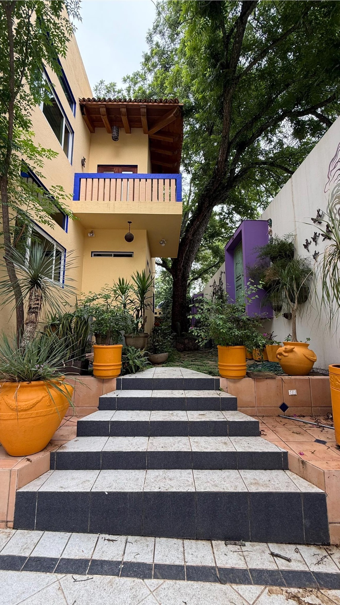RG Prime Properties | Monterrey