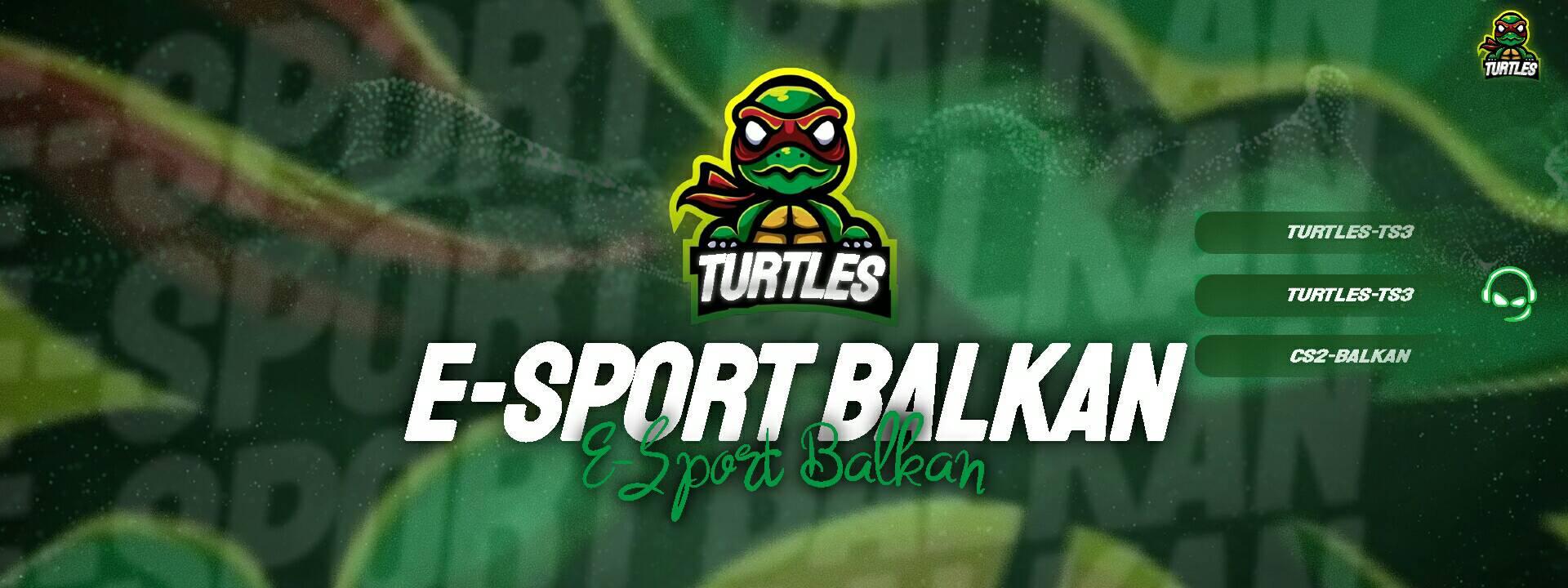 Turtles E-Sport Gaming
