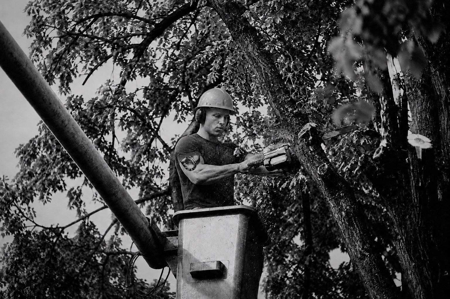 Yellow Ribbon Tree Service LLC